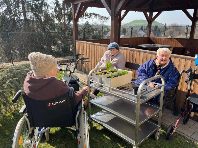 Sázení jarních květin