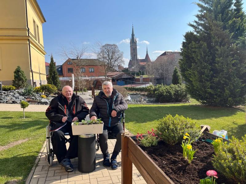 Sázení jarních květin