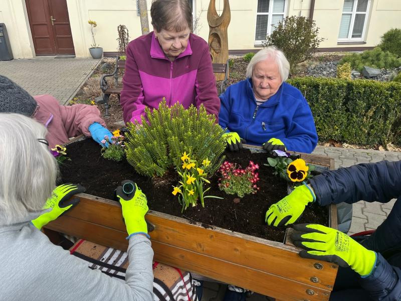 Sázení jarních květin