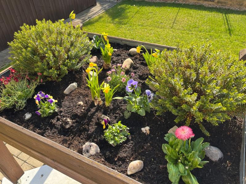 Sázení jarních květin